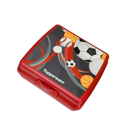 Tupperware Sandwich Keeper Square